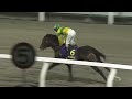 【第23回 鎌倉記念 sⅡ 】2024 10 9 川崎競馬場