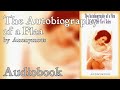 The Autobiography of a Flea by Anonymous - Full Audiobook | Victorian Romance Novel