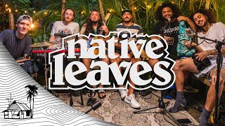 Native Leaves - Visual EP (Live Music) | Sugarshack Sessions