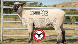 Lote 32