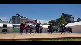 【平戸風神社中】黒崎よさこい祭り2024