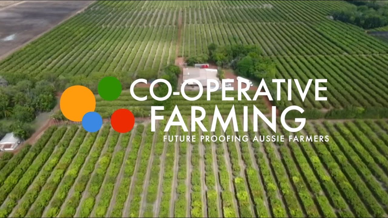 Agricultural Cooperatives Importance Types Pros Cons 55 Off
