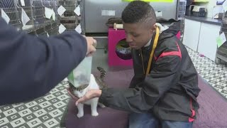 New Jersey teen creates bow ties for shelter dogs and cats