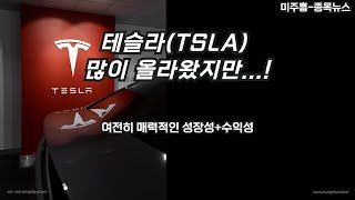 [미주흥-종목뉴스] 테슬라(TSLA) 많이 올라왔지만...! 여전히 매력적인 성장성+수익성