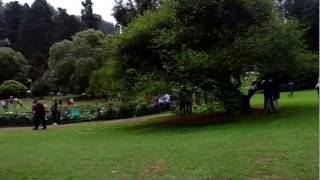 Government botanical garden, Ooty