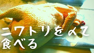 【ぐるりの暮らし】#60「鶏を〆て食べる」～昨年末に屠畜をしました。1歳半の雄鶏をツブして解体・精肉し、いただいたのです。鶏の屠畜から精肉、一連の作業を紹介します。