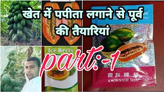 खेत में पपीता का पौधा लगाने से पूर्व क्या तैयारी करें।/khet mein papita lagane se purv ki taiyari