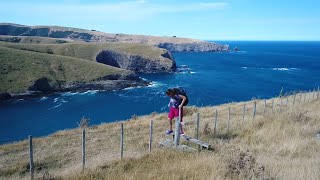 Experience the Banks Peninsula during this amazing muti-day hike