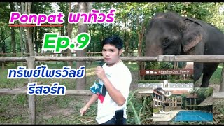 Ponpat พาทัวร์ ep.9 ทรัพย์ไพรวัลย์รีสอร์ท ให้อาหารช้าง