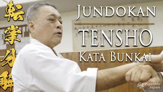 Goju-ryu Karate Kata | Tensho | Bunkai | Okinawa Karate Grand Master | Ageshio Japan