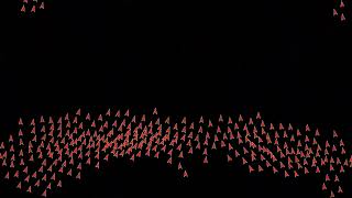 Boid - Flocking / Schooling Simulation