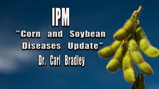 Corn and Soybean Diseases Update