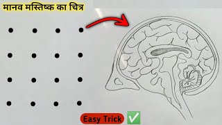 मानव मस्तिष्क का चित्र कैसे बनाएं // How To Draw Human Brain From Dots #humanbrain