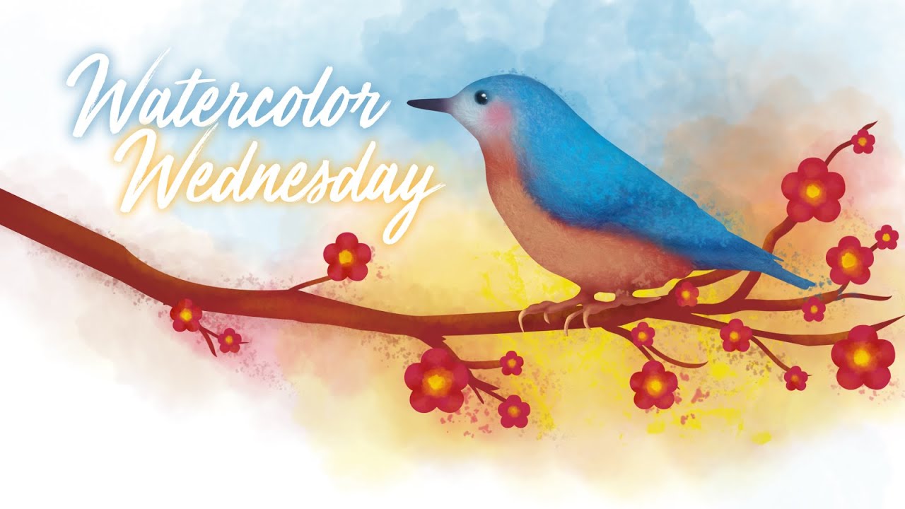 Watercolor Wednesday Youtube