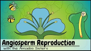 Angiosperm (Flowering Plants) Reproduction UPDATED