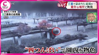 【狙われる日本の盆栽】 1年で3度も被害が･･･　“客の８割”が外国人 　海外での人気が影響か