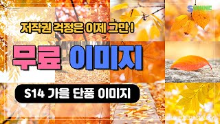 S14. 저작권 걱정 없는 무료 이미지 ,가을 단풍 이미지