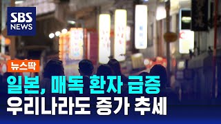 '10년 새 10배' 일본서 매독 환자 급증…우리나라는? / SBS / 뉴스딱