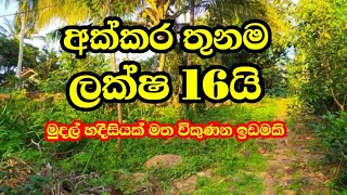 land sale | land sale in sri lanka | house and land for sale in sri lanka | ape thena