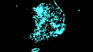 processing data visualization