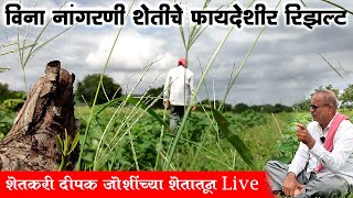 विना नांगरणी शेतीचे फायदेशीर रिझल्ट | शेतकरी दीपक जोशींच्या शेतातून Live | Shivar News 24