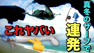 【サーフヒラメ】真冬にこの釣果はエグいって