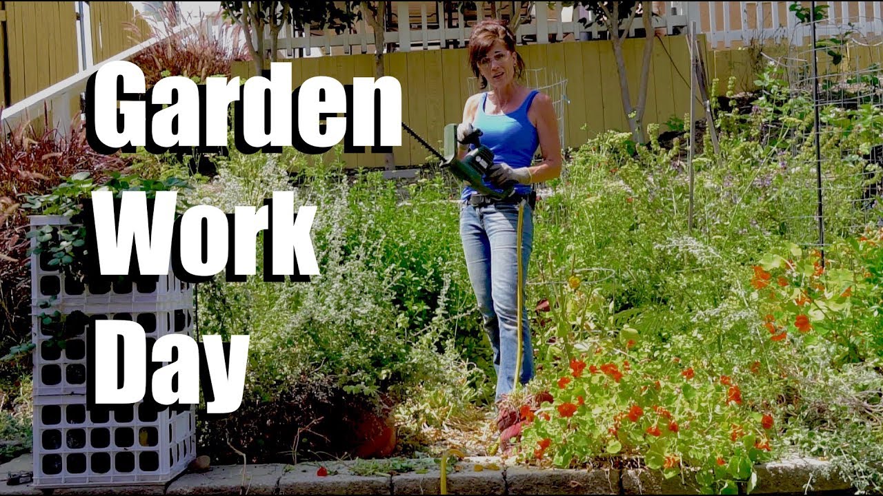 Garden Work Day Youtube