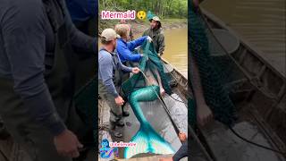 Mermaid caught in fishermen's nets 🧞‍♀️ #mermaid #funny #shorts