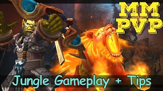 Mm Hunter Arena Tips | 2v2 Jungle Gameplay 9.1