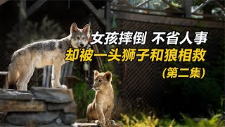 女孩摔倒，不省人事，卻被一頭獅子和狼相救！《狼與獅子》 #电影 #电影解说 #影视 #影视解说 #剧情