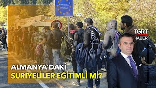 Almanya’daki Suriyeli Sığınmacıların Hepsi Eğitimli Mi?