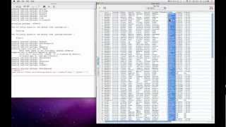 Deducer Text Analysis
