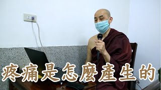 疼痛是怎麼產生的。南傳上座部佛教：覓寂尊者開示。說明欄有電子書下載及一日禪修資訊。 | 巴利三藏 | 佛法問答|禪修| 阿毗達摩| 清淨道論|重點整理|心智圖