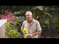 the garden gurus powerfeed improve your soil