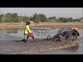 Rice cultivation in Bangkok, Thailand