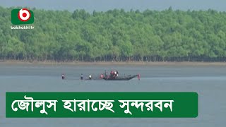 জৌলুস হারাচ্ছে সুন্দরবন