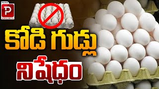 కోడి గుడ్లు నిషేధం..| Indian Chicken Eggs Import Banned in Oman | Latest News | Telugu Popular TV