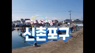 신촌포구 ♡ 조천 ♡ 제주 방파제 낚시 ♡ 고등어 전갱이 포인트 ㅡ 가족 낚시 체험 낚시