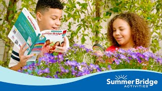 Get Ready for Summer Fun With Summer Bridge Activities