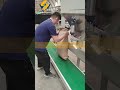 pet food production line dry dog cat food manufacturing plant