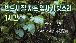 반드시 잘 자는 잎사귀 빗소리 1시간 ｜점점 어두운 화면｜불면증, 공부 집중