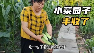 熬了两盆樱桃罐头，蒸了一锅小白菜包子，小院里吃饭凉快；东方红发大水了，过河采蘑菇都难上加难！