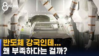 반도체 강국인데…국내 생산 못 하나 안 하나 / SBS