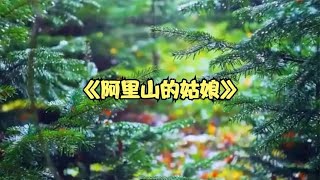 《阿里山的姑娘》高音质DJ纯音乐旋律优美 节奏轻快 百听不腻