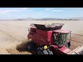 case ih axial flow 9250 and old mccormick deering harvester