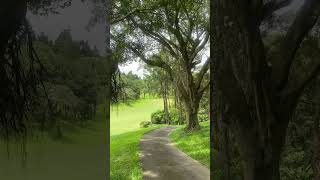 長庚高爾夫球場（Chang Gung Golf Course），過了端午節盛暑午後的球場，充滿蟲嗚鳥叫大自然的聲音☀️☀️☀️