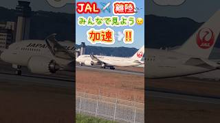 🟢JAL🛩️‼️エンジン音が大きくなってくる😳→滑走加速🛞💨→離陸🛫の様子をお楽しみください♪🥰#aviation #jal #日本航空 #飛行機 #伊丹空港 #離陸 #shorts