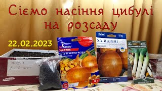 Сіємо насіння цибулі \