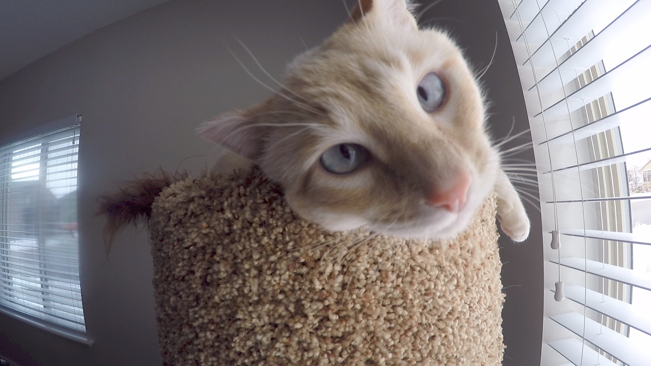 Mommy Kisses Youtube