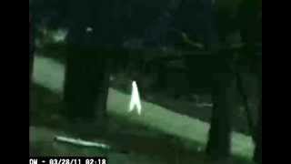 8# Nightwalker caught on camera